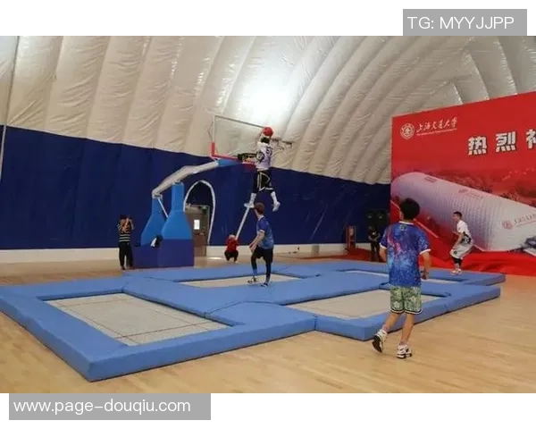 成都极限运动队区域防守战术解析与实战应用探讨