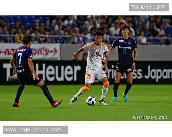 新泻天鹅迎战京都球队全力争胜展现实力与激情